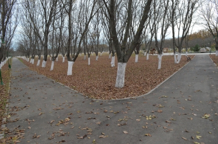 Der Dendrologie-Park